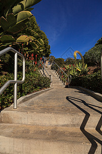 通往肖湾海滩的步骤假期波浪旅行楼梯蓝天背景图片
