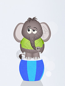 有趣的大象马戏团闲暇灰色插图动物卡通片马戏团荒野展示娱乐哺乳动物背景图片