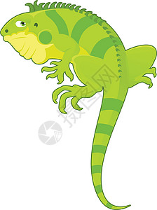 绿色蜥蜴伊瓜纳卡通插画