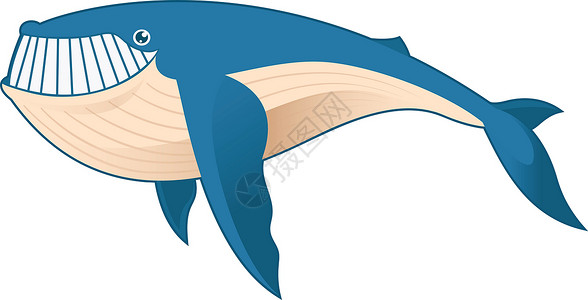 卡通鲸鱼生活动物喷泉游泳卡片哺乳动物海洋乐趣插图婴儿背景图片
