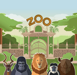 有非洲扁平动物的动物园大门篮子评书绘画女性危险童年孩子树木乐趣骑术背景图片
