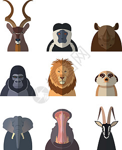 谢雷格什非洲动物的图标大猩猩卡通片荒野插图野生动物动物园哺乳动物艺术丛林收藏插画