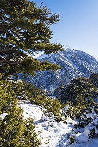 科林西亚希腊南佩罗蓬涅斯 西里亚山冬日被雪覆盖森林国家蓝色娱乐天气假期冰川风景旅游杉树背景