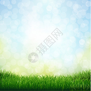 草与博克晴天季节花园艺术横幅场地叶子光束太阳植物背景图片
