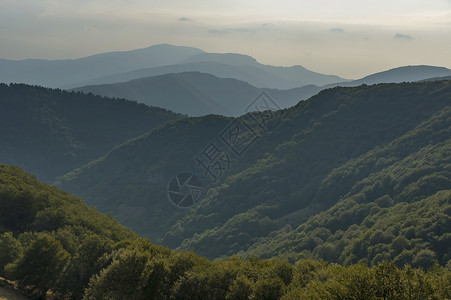 中巴尔干山 贝克梅托或特洛伊山口的山区森林高清图片