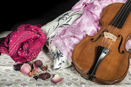 维林语Name小提琴乐器曲线细绳红色音乐生活历史字符串文化背景图片
