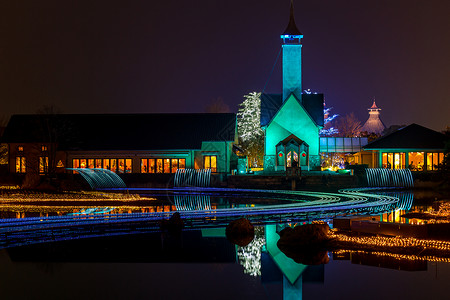 在名古屋的夜里 纳巴纳没有佐藤花园光洋叶子风景菜花照明公园树木旅行植物花园背景图片