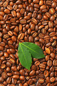 烤咖啡豆咖啡高架贸易棕色画幅烘烤背景图片