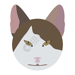 猫脸猫科虎斑小猫动物卡通片毛皮绘画白色猫咪宠物背景图片