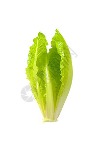 红霉素生菜心脏蔬菜树叶食物沙拉高清图片