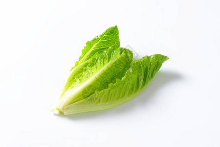 红霉素生菜心脏树叶蔬菜食物沙拉高清图片
