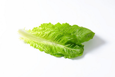 硬叶素色调生素树叶食物蔬菜沙拉背景