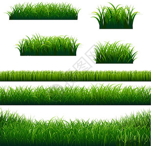 绿草边界绘画草叶生长环境幼苗全景生态草皮刀刃药品背景图片