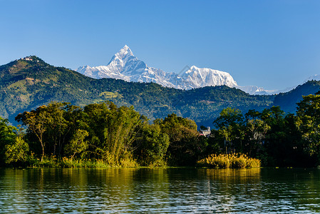出门见喜马恰布沙雷和安纳普尔纳三世在尼泊尔波克拉见了Pokhara山脉高度鱼尾爬坡反射支撑蓝天旅行旅游顶峰背景