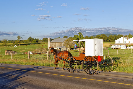 一辆阿米什马和乘车在农村公路上旅行高清图片