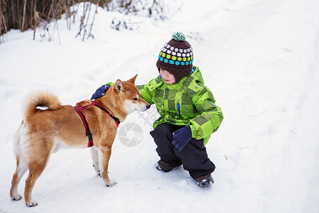 小男孩 与世叶因奴狗户外动物友谊小狗青年夹克孩子乐趣朋友生物微笑背景图片