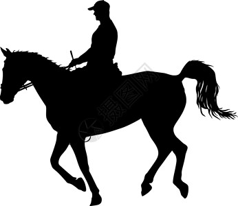 马和 jocke 的矢量剪影自由动物行动哺乳动物速度马术鬃毛艺术野马白色背景图片