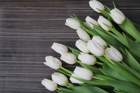 出生日期一大束白色的花束 有绿色叶子的白郁金香周年花瓣庆典植物情人纪念日日期展示团体惊喜背景
