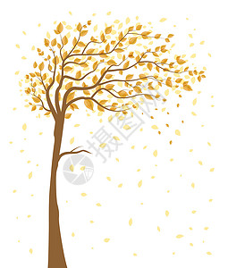 落叶的树背景图片