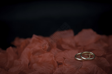 结婚戒指金子花瓣黑色红色背景图片