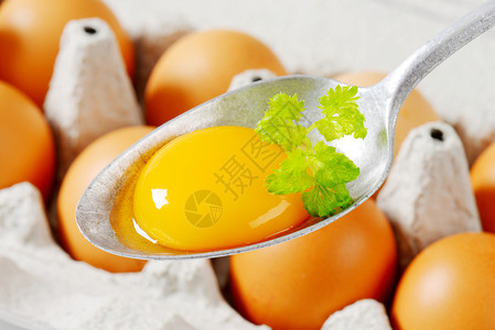 勺子上生蛋黄金属鸡蛋盒蛋盒食物汤匙背景