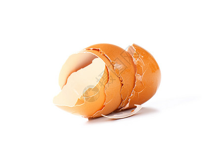 空棕蛋壳棕色食物背景图片