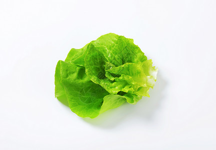 新鲜生菜树叶沙拉绿色奶油食物背景图片