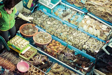海鲜批发素材Noryangjin渔业批发市场 广泛批发和再乌贼寿司展示水产海鲜食物头足类动物章鱼市场背景