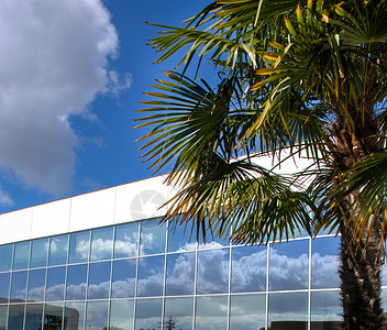 城市风景办公室广场 蓝天的生意财产反射天空植物商业建筑办公楼日落结构阳光背景图片