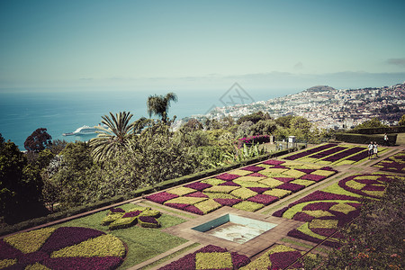 Funchal春天葡萄牙语高清图片