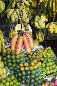 红 黄和绿香蕉挂在市场上出售 Kand销售水果摊位杂货店食物热带零售活力展示生产背景图片