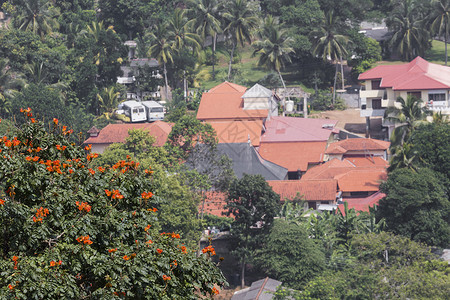 清晨城市风景 在斯里兰卡的坎迪山脉晴天高清图片