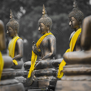 反法斯西斯里兰卡科伦坡寺佛像沉思雕塑佛教徒纪念碑宗教历史金属雕像宝藏金子背景