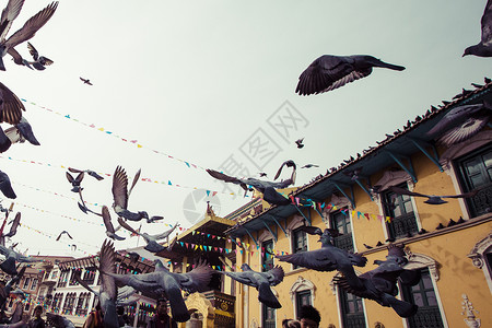 尼泊尔语与飞鸟在加德满都谷地蓝天飞行大佛圆顶祷告宗教鸽子文化蓝色建筑学地标佛塔背景