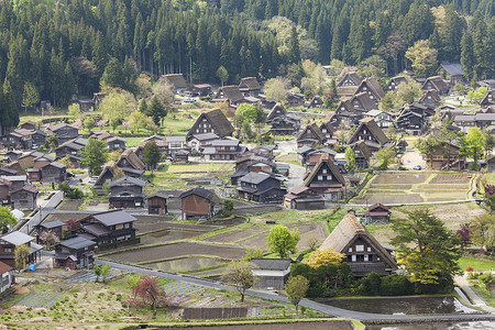 传统和历史古老的日本村庄白川建筑学地标橙子博物馆文化全景遗产三角形森林历史性背景图片