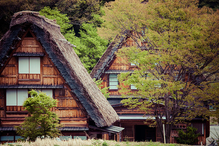 传统和历史古老的日本小岛Ogimachi村     日本白川之国房子文化遗产三角形建筑学农家历史性鸟瞰图全景房屋背景图片