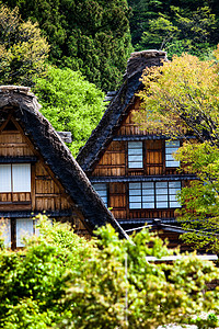 三角形房子传统和历史古老的日本小岛Ogimachi村     日本白川之国建筑森林橙子三角形博物馆地标遗产建筑学房子房屋背景