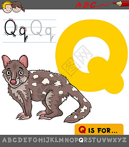 负鼠字母 q 与卡通 quol设计图片