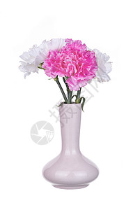 列克白色花朵美丽花束植物礼物粉色花瓣红色背景图片