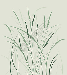 草原上的草墙纸生态季节农村土地植物学草图草原生长园艺背景图片