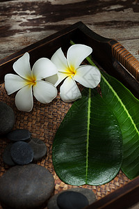 花活力程序石疗卵石叶子疗法治疗极乐芳香石头背景图片