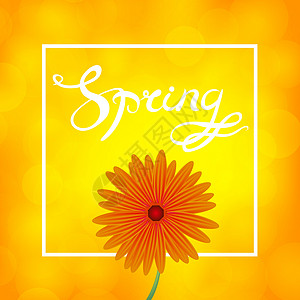 春季发信设计横幅时间标签刻字问候语字体季节镜片销售卡片背景图片
