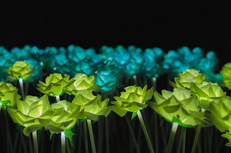 夜晚蓝色花朵花朵有一个明亮的夜晚辉光双音摄影恋人庆典礼物植物群枝条花园蓝色背景