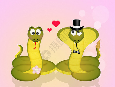 蛇和蛇结婚背景图片