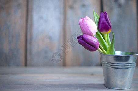 金属花素材春季郁金香背景植物花朵木头纪念日紫丁香白色空白花束粉色框架背景