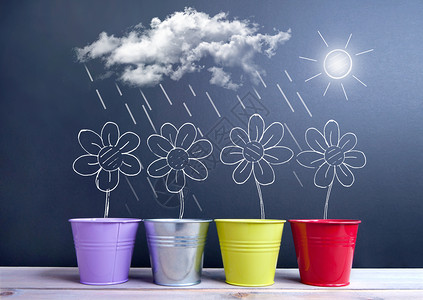 春季春天天气黑板雏菊草图季节太阳绘画花朵背景图片