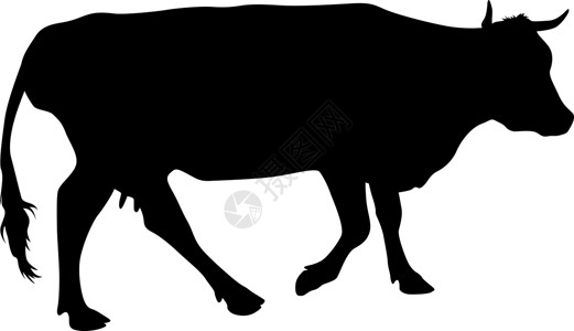 白色背景上现金牛的黑色剪影动物农村农业乳牛食物插图家畜绘画哺乳动物牛奶插画
