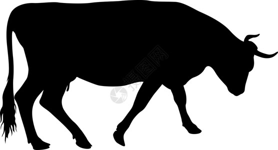白色背景上现金牛的黑色剪影牛肉绘画农村农业插图食物哺乳动物家畜小牛乳牛插画
