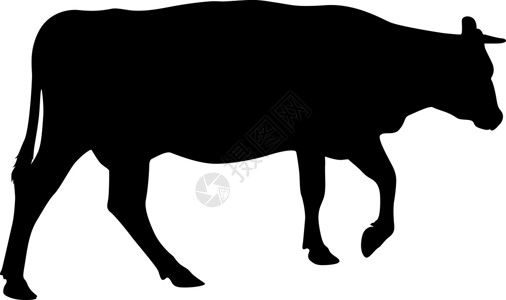 白色背景上现金牛的黑色剪影农场牛奶乳牛牛肉食物小牛家畜哺乳动物插图动物插画