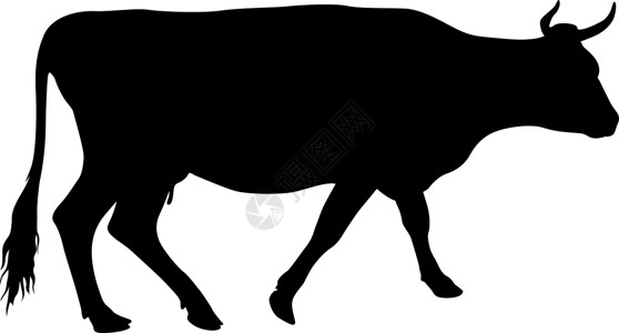 白色背景上现金牛的黑色剪影食物插图小牛农业家畜农场手臂牛奶乳牛哺乳动物插画